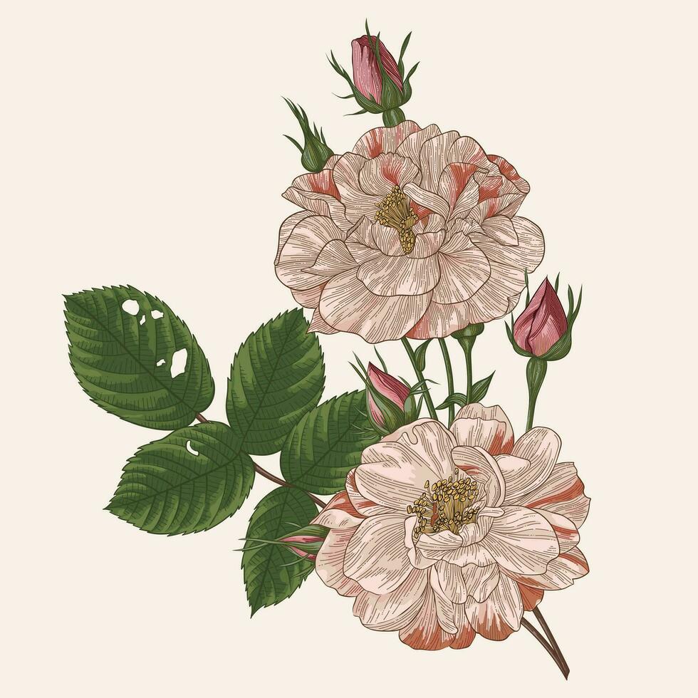 línea Arte mano dibujar decorativo floral ilustración vector