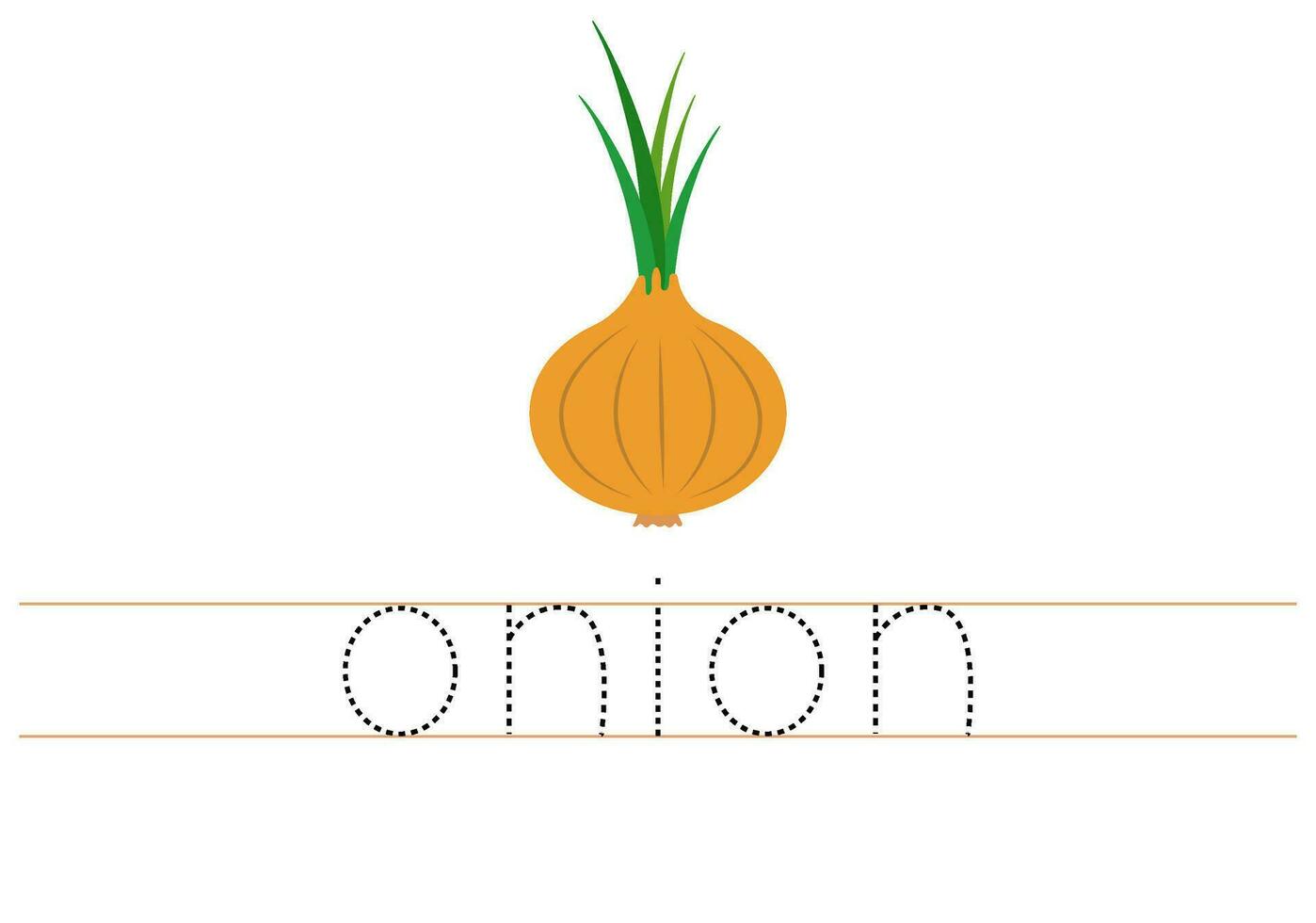 Trace word onion. English worksheet for kids. Cartoon colorful onion. vector