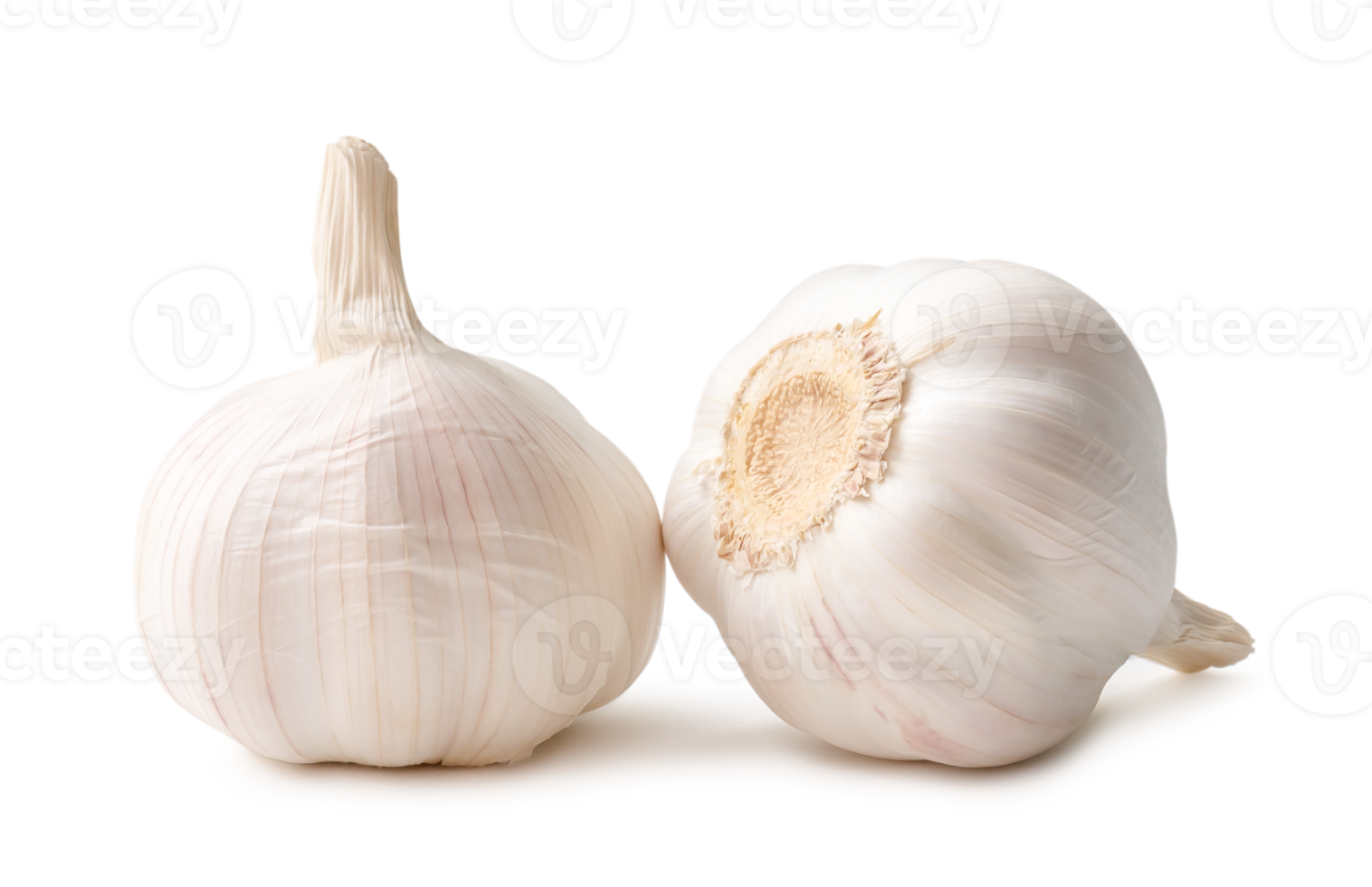 Front view of garlic bulbs in stack isolated with clipping path and shadow in png file format