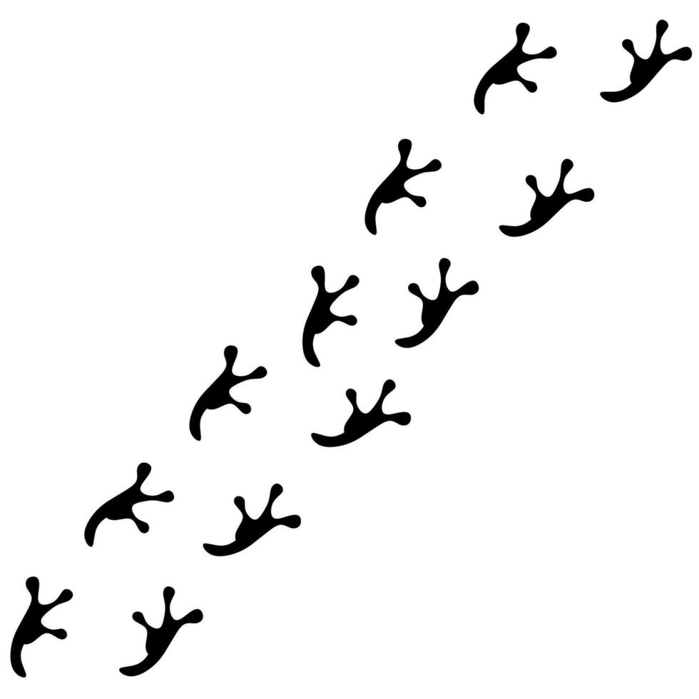 Vector footprint of a jumping frog on a white background. Amphibian tracks.