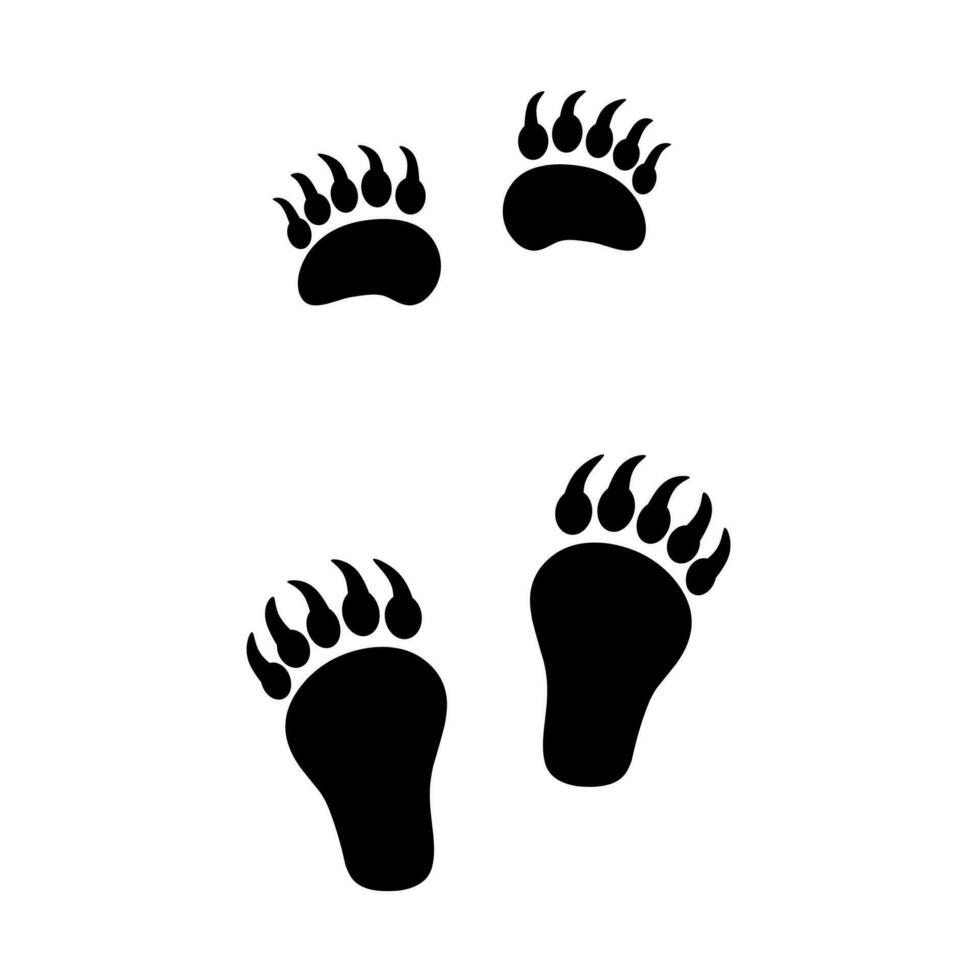 Silhouette of bear footprints on a white background. Bear paw path. Carnivorous animal. vector