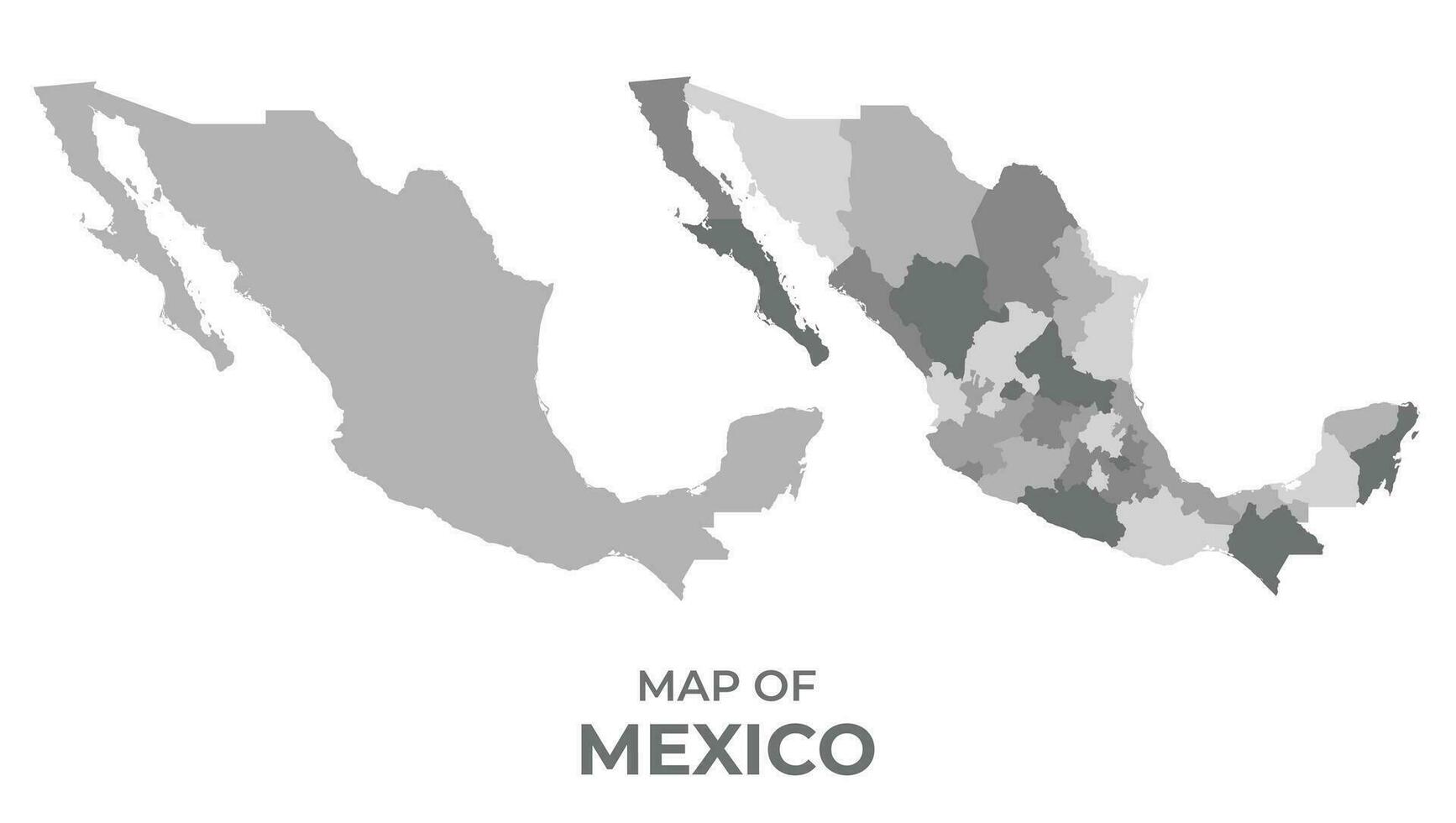 escala de grises vector mapa de mexico con regiones y sencillo plano ilustración