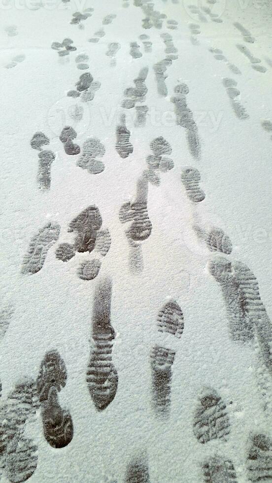 Footprints on the snowy surface. Snow cover with human footprint photo