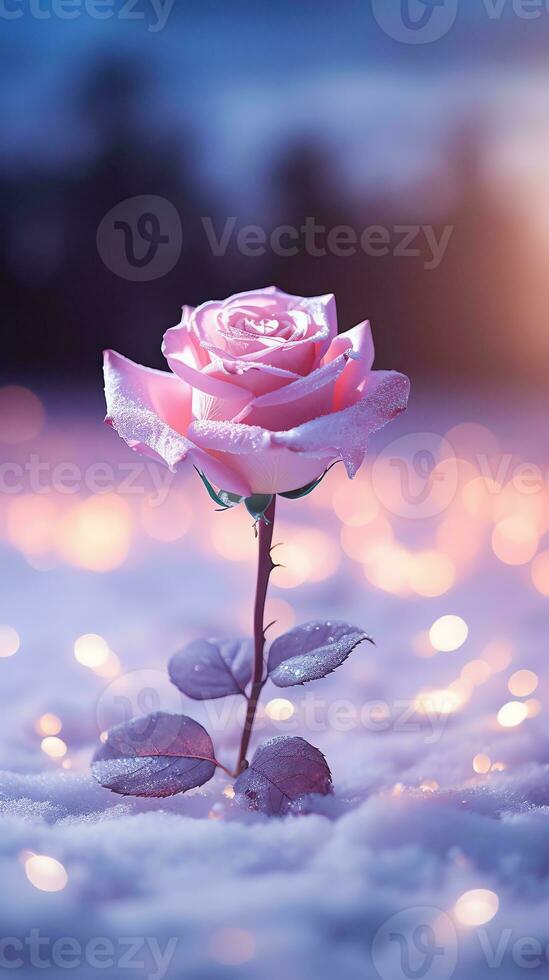 AI generated Pink rose and a red velvet jewellery box. Happy Valentine's Day greeting card concept. AI generated image photo