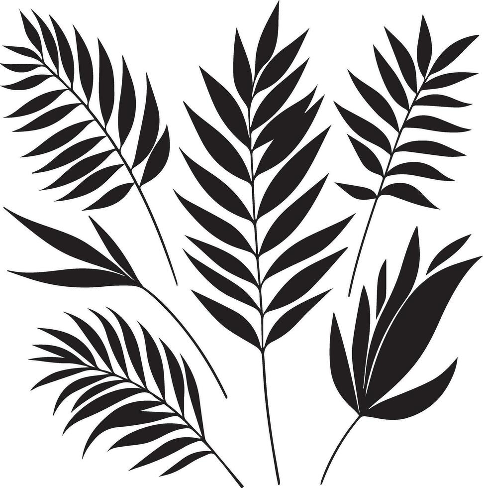 minimal tropical leave vector silhouette, black color silhouette, white background 16