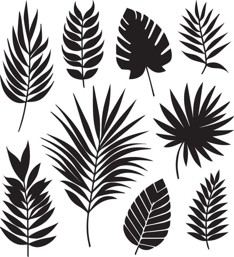 minimal tropical leave vector silhouette, black color silhouette, white background 18