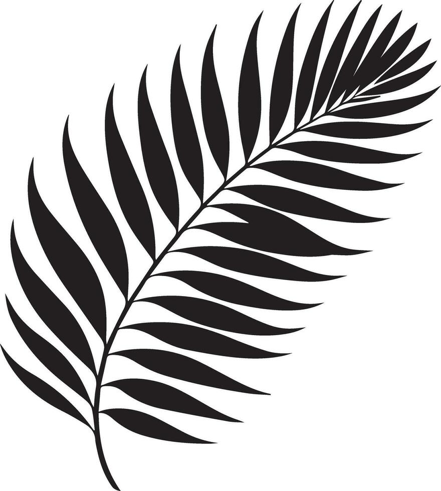 minimal tropical leave vector silhouette, black color silhouette, white background 14