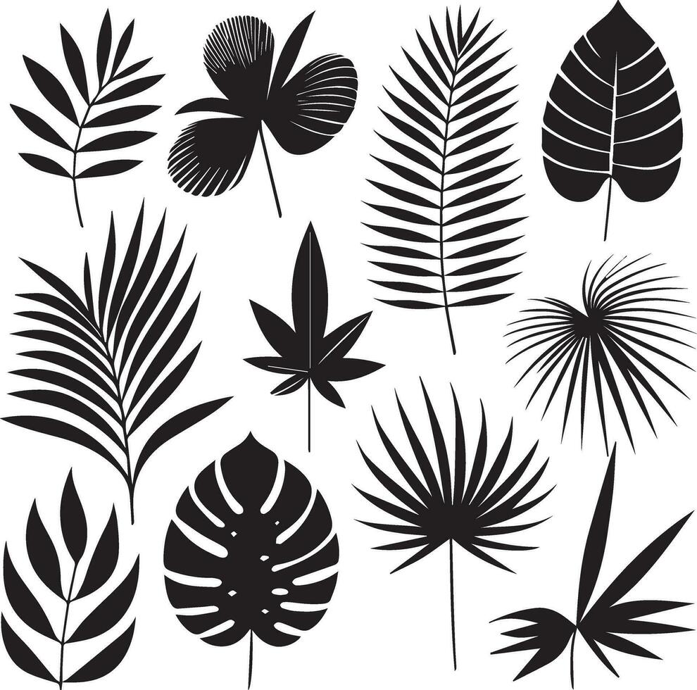 minimal tropical leave vector silhouette, black color silhouette, white background 19