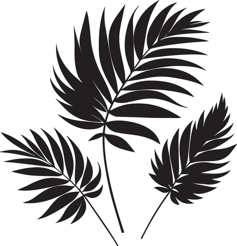 minimal tropical leave vector silhouette, black color silhouette, white background 28