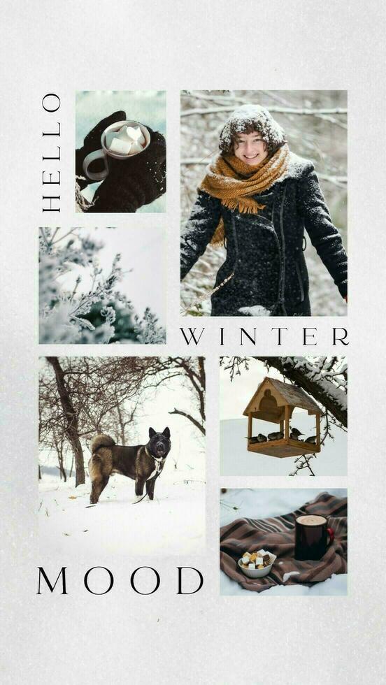 Winter Mood Photo Collage Set for Instagram Story template