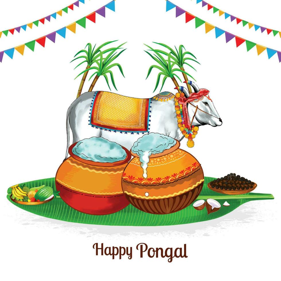 Happy pongal festival celebration card background vector