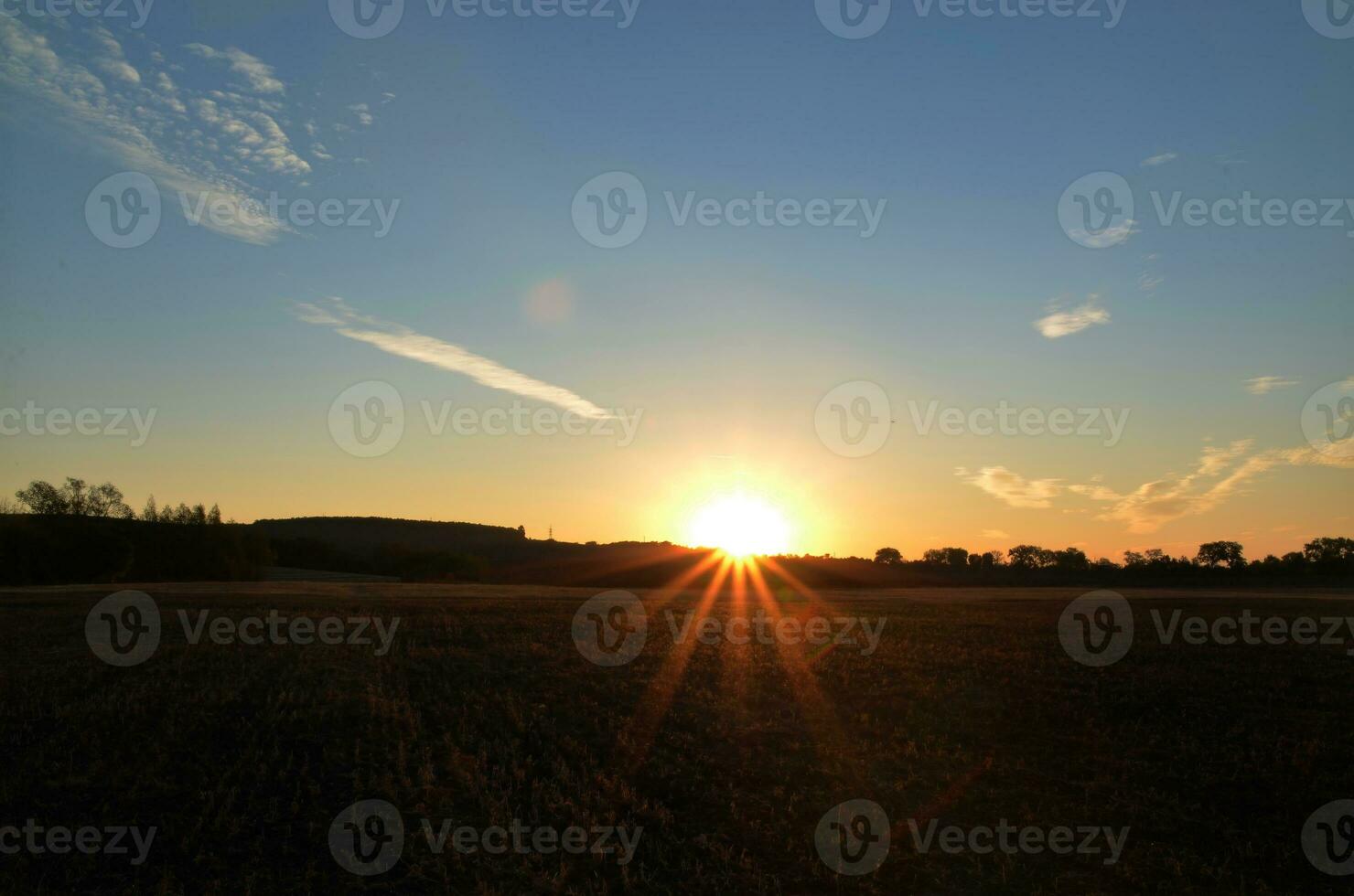 Sunrise and summer field photo