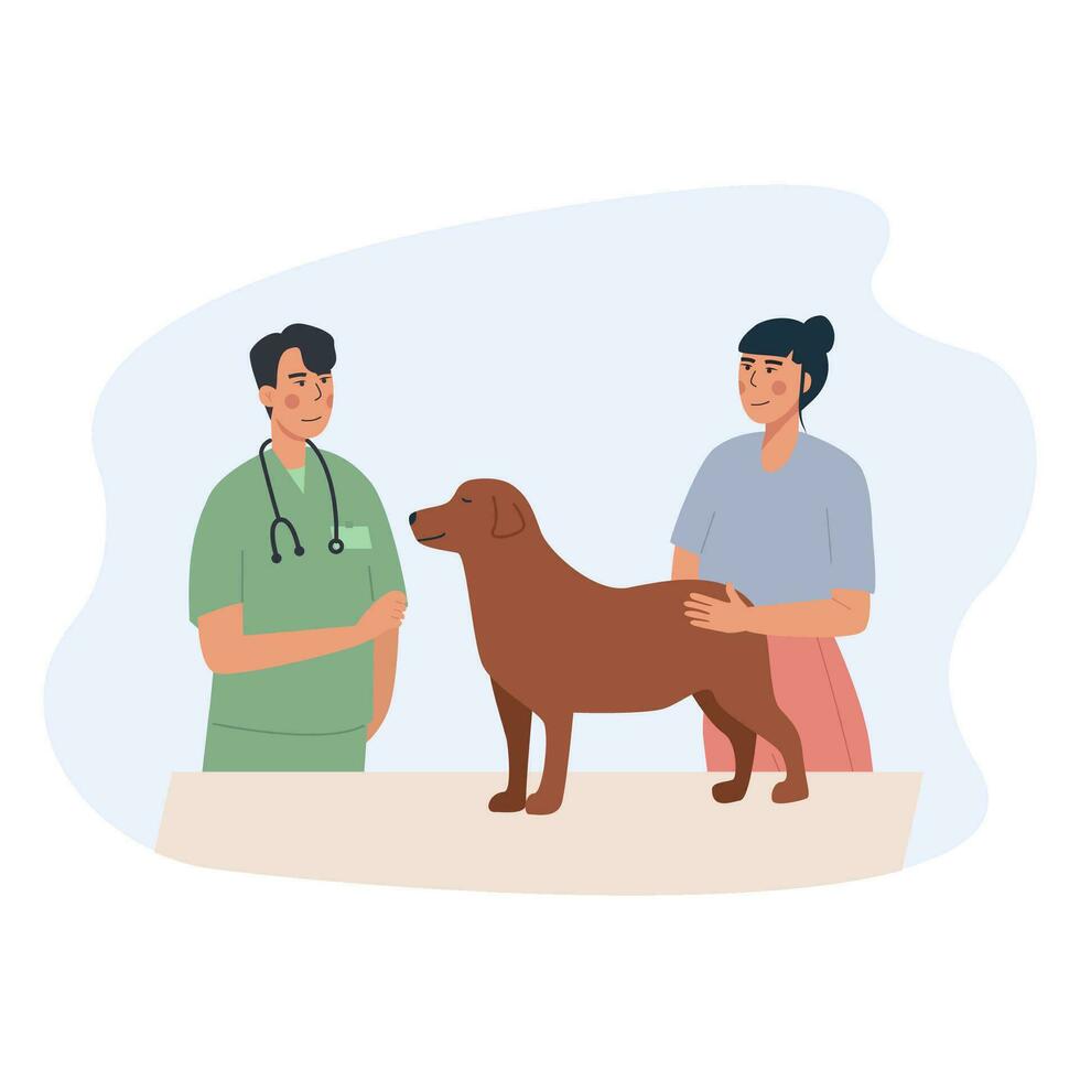 A dog at vet appointment. Owner with domestic animal - vaccination, vet passport, rehabilitation, sterilization. Labrador getting medical check-up. Pet care. Flat vector cartoon illustration.