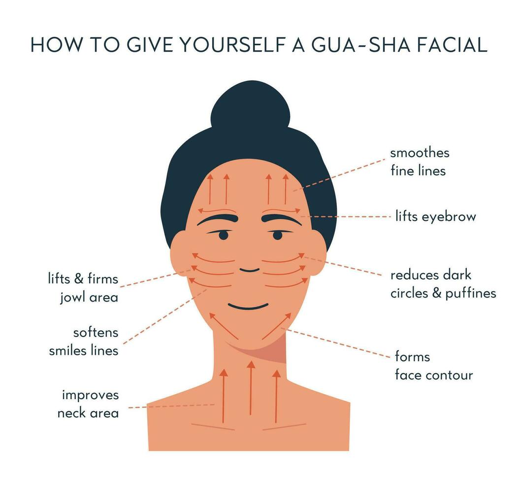 Infographic of gua sha scraper facial yoga. Massage direction for jade roller. Acupuncture anti-aging traditional chinese medicine self care method. Vector flat illustration on white background..