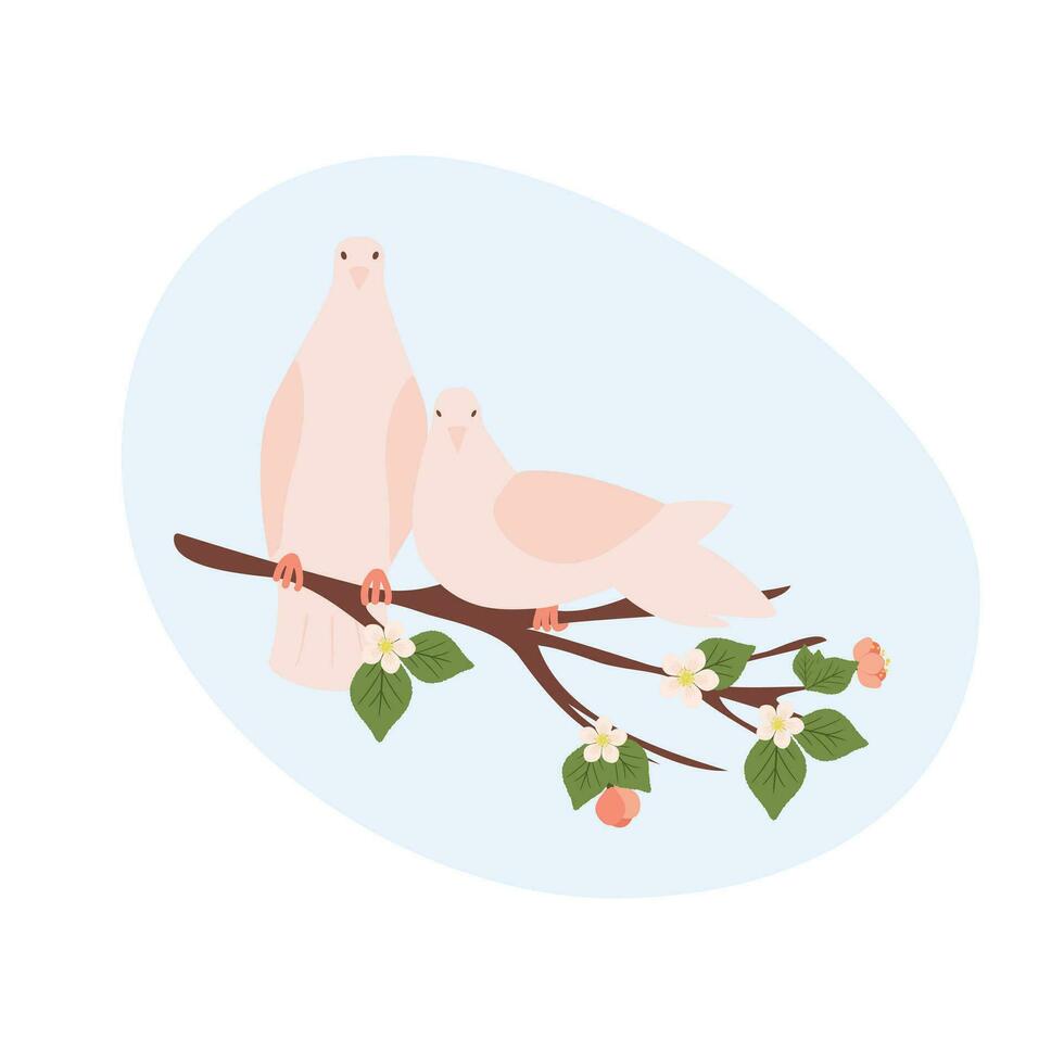 Two pigeon on blooming branch of tree. Concept of pink mourning dove for celebration. Wedding religious world peace sign vector