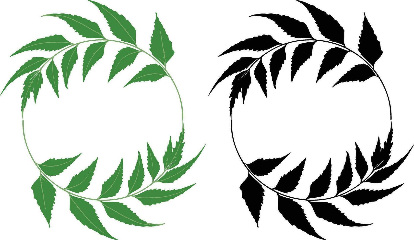 two leaves in a circle with a white background, hand drawn illustration leaf frame, vector