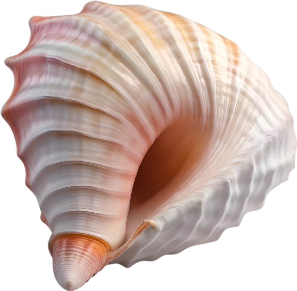 AI generated an image of a colorful seashell. Ai-Generated. png