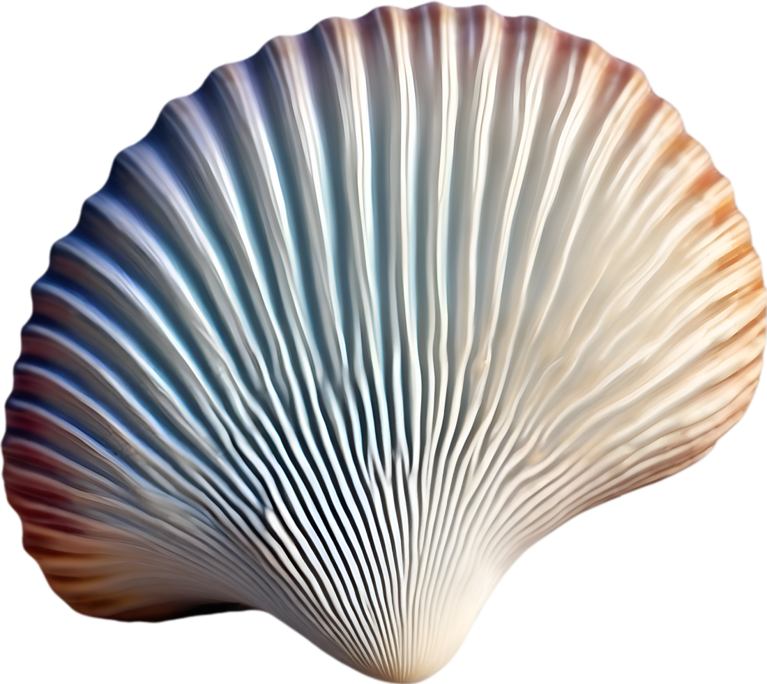 AI generated an image of a colorful seashell. Ai-Generated. png