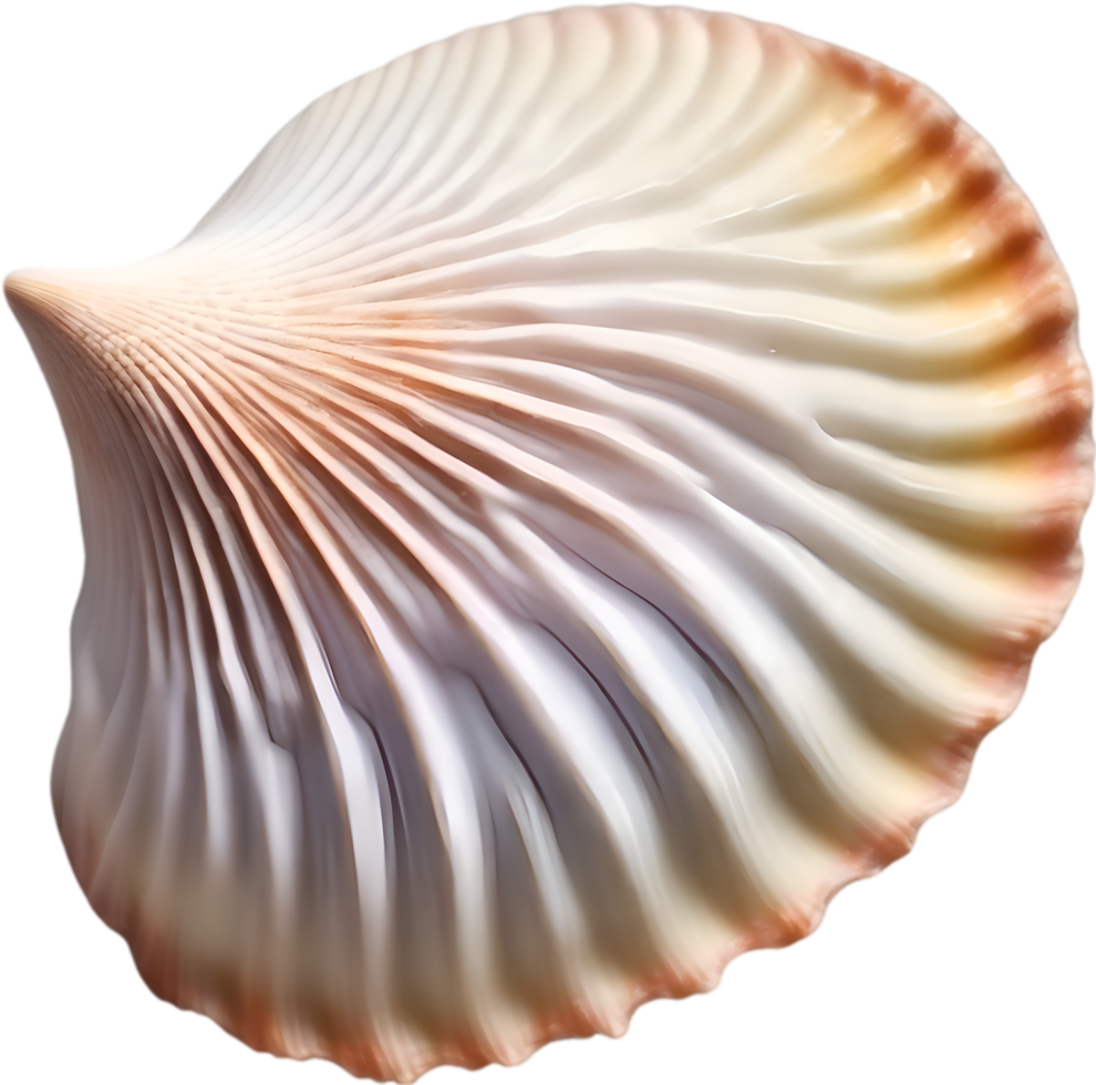 AI generated an image of a colorful seashell. Ai-Generated. png