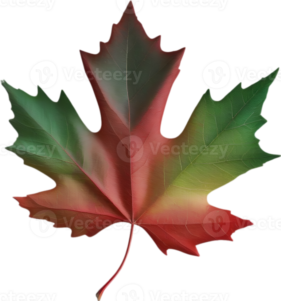 AI generated an image of a colorful maple leaf. Ai-Generated. png