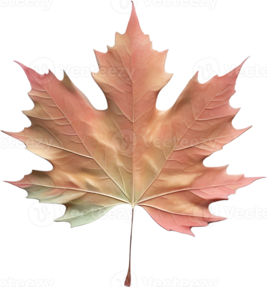 AI generated an image of a colorful maple leaf. Ai-Generated. png