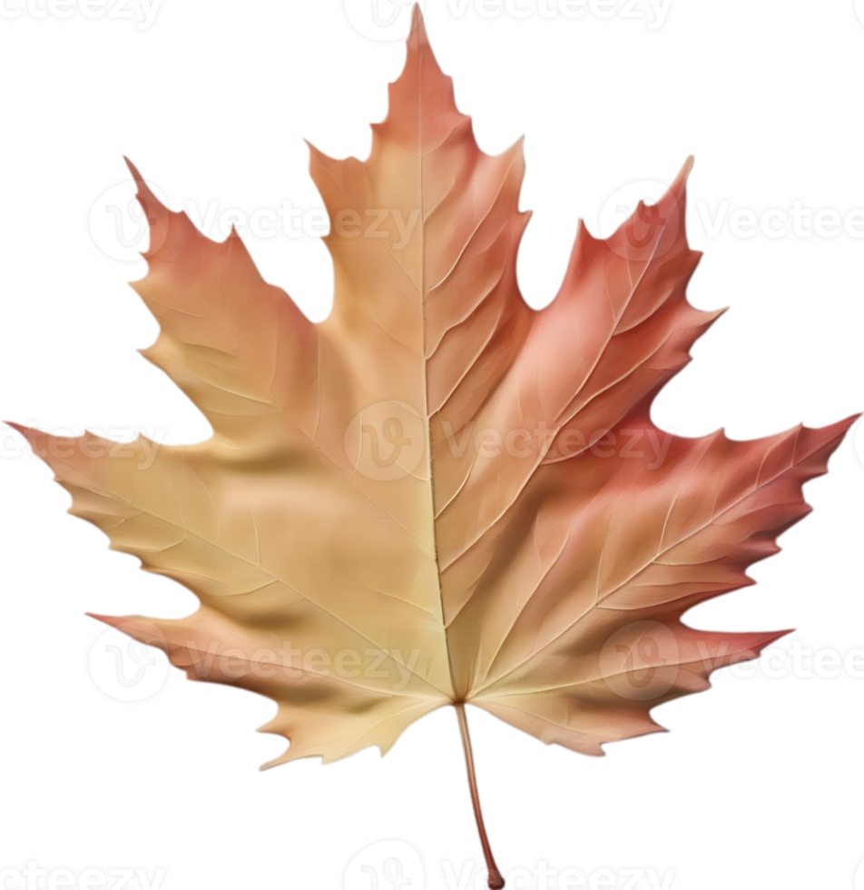 AI generated an image of a colorful maple leaf. Ai-Generated. png