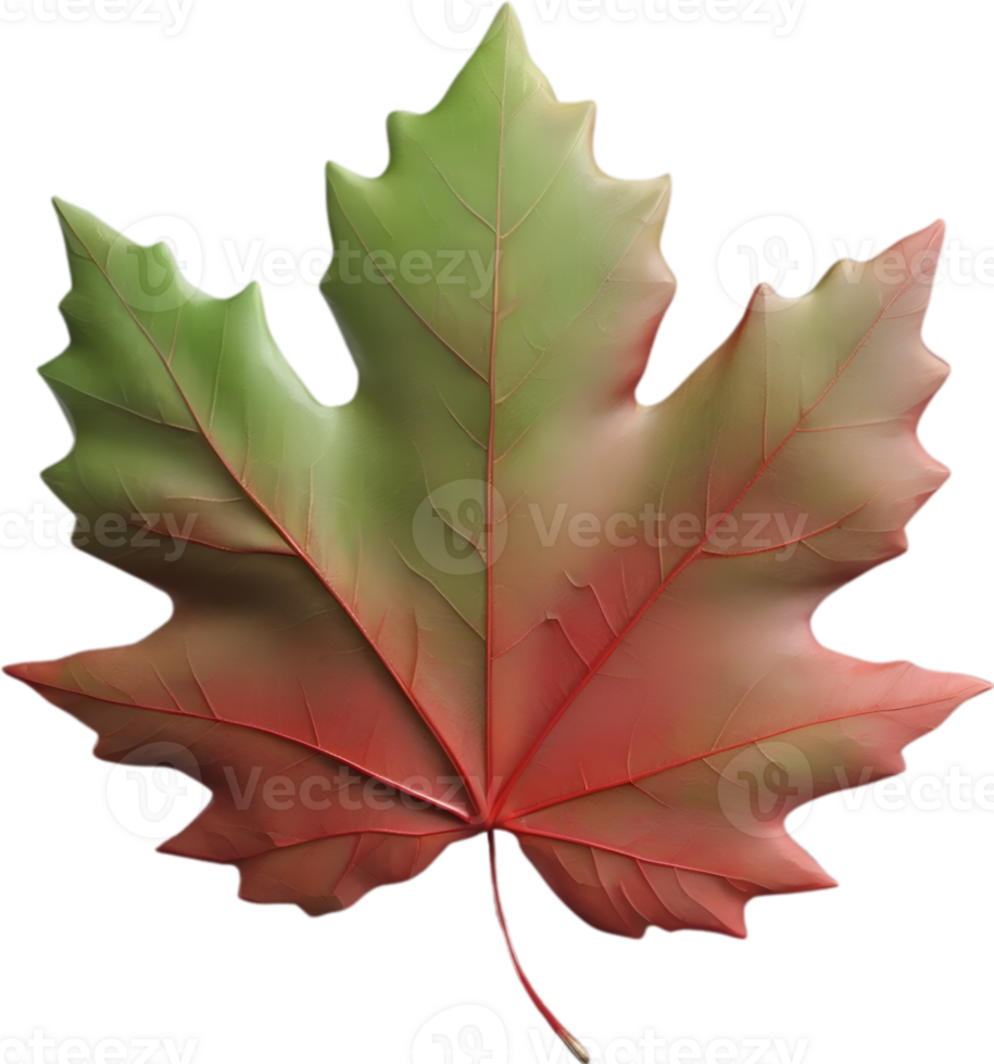AI generated an image of a colorful maple leaf. Ai-Generated. png