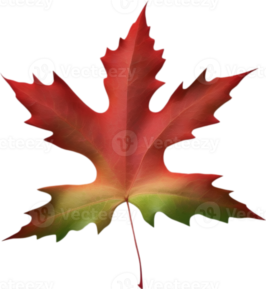AI generated an image of a colorful maple leaf. Ai-Generated. png