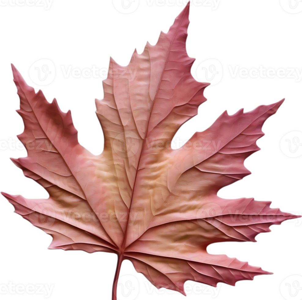 AI generated an image of a colorful maple leaf. Ai-Generated. png