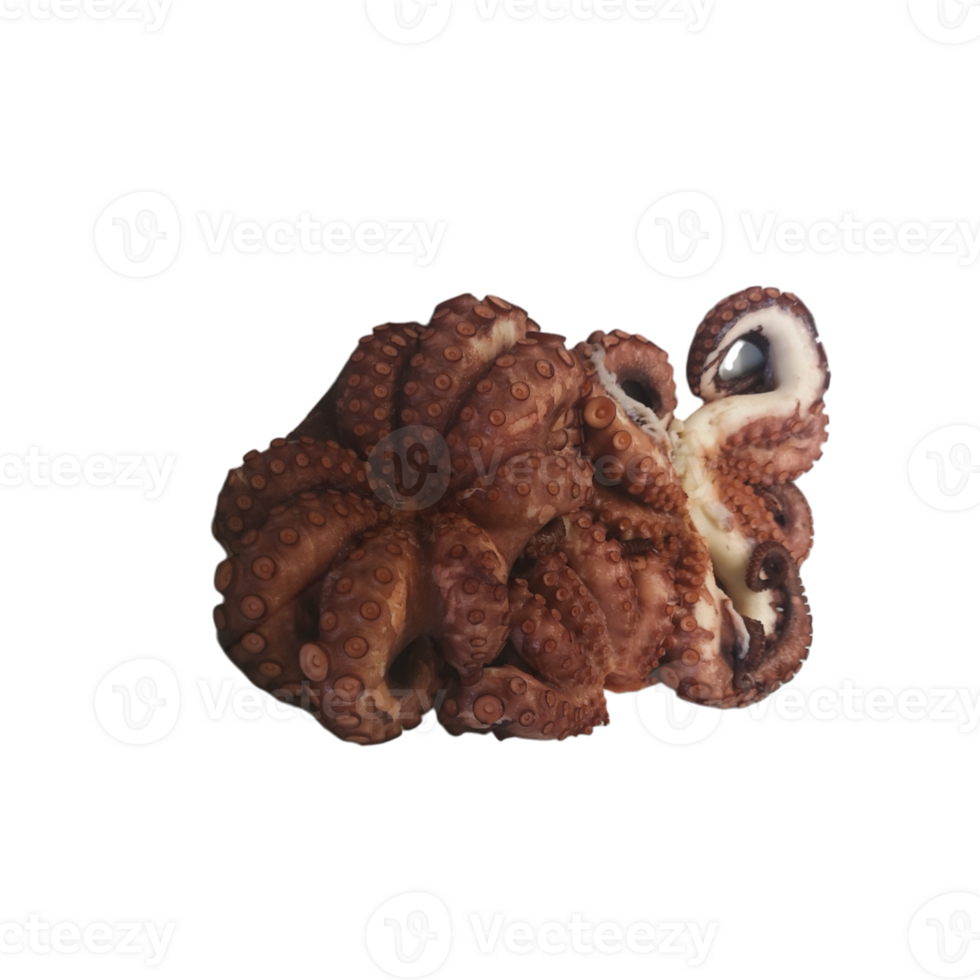 Fish and steamed octopus recipe- png