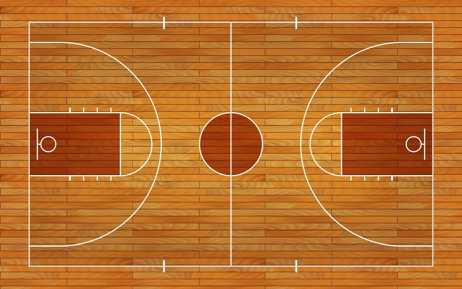 Basketball court floor with line on wood texture background. Vector illustration