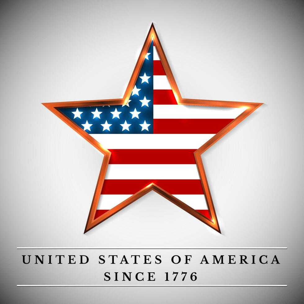 Estados Unidos estrella, independencia día. vector ilustración