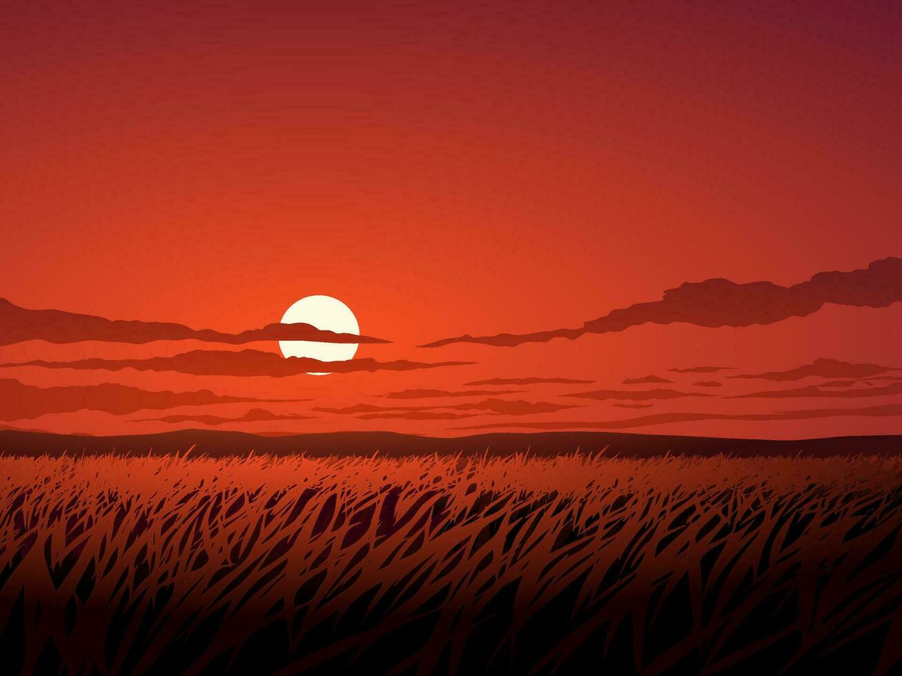 Grassland at sundown. Vector nature landscape