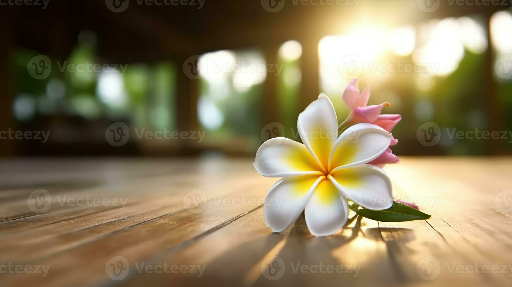 Wooden table, frangipani, shine, bright white photo