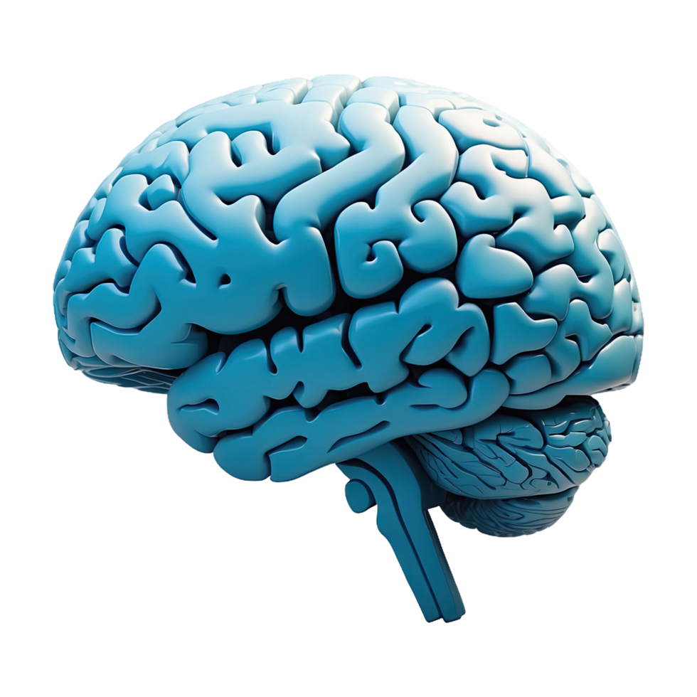 AI generated Three dimensional brain isolated on transparent background png