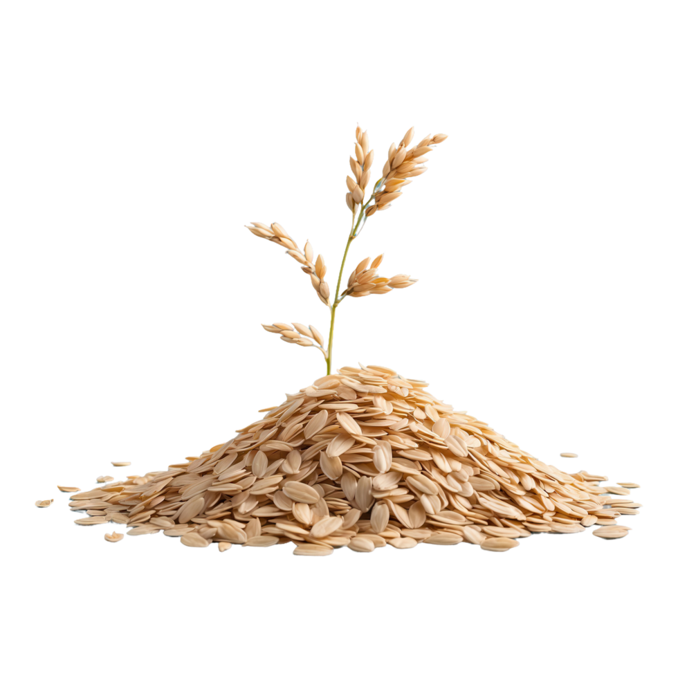 AI generated Pile of oats isolated on transparent background png