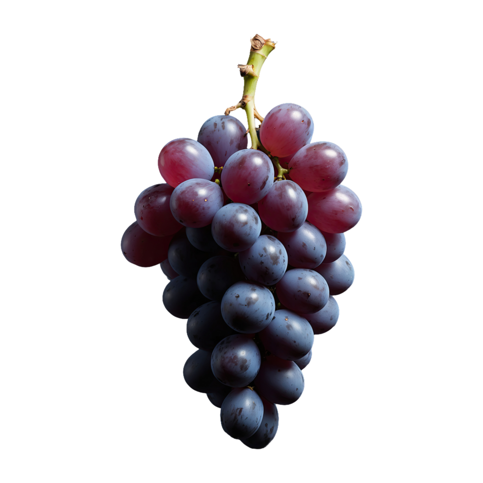 AI generated Grapes in contrast on dark surface isolated on transparent background png