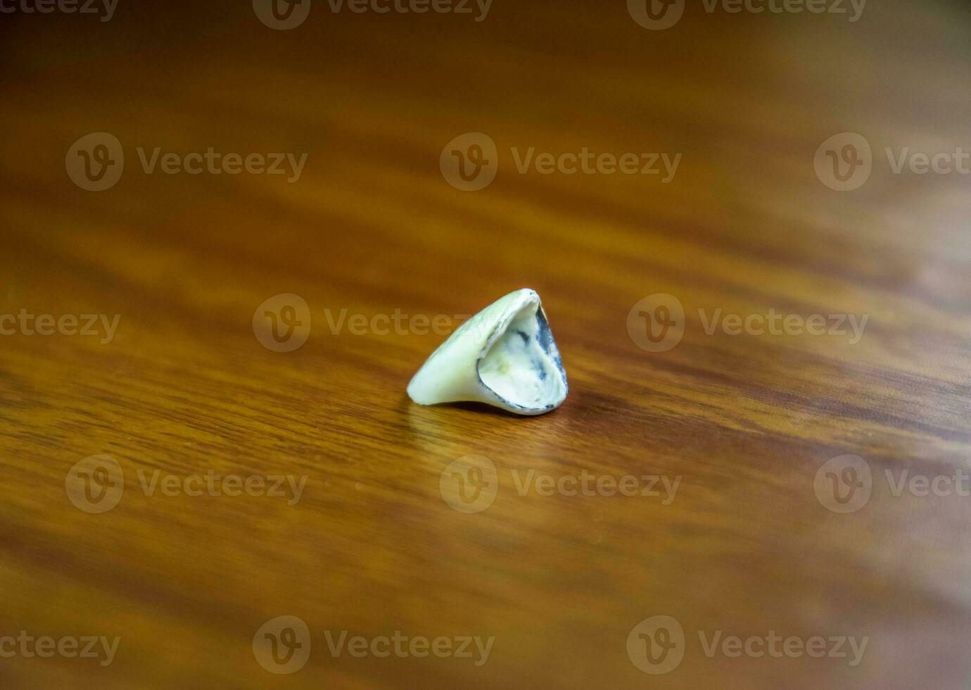 Tooth, metal ceramic crown on the table. Denture made of metal ceramics photo