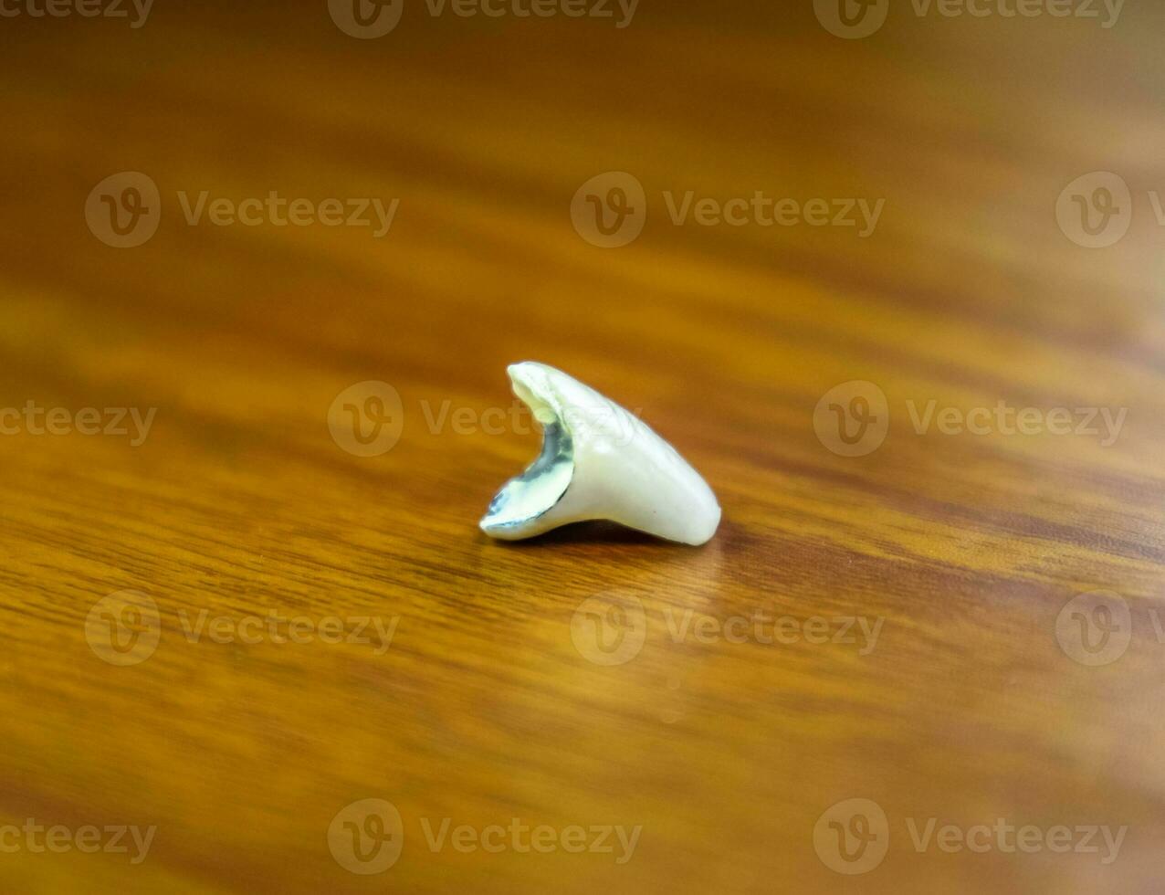 Tooth, metal ceramic crown on the table. Denture made of metal ceramics photo