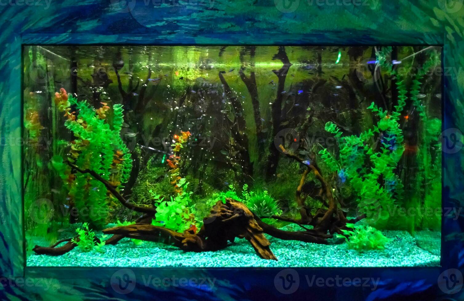 Wall mounted aquarium with tropical fish photo