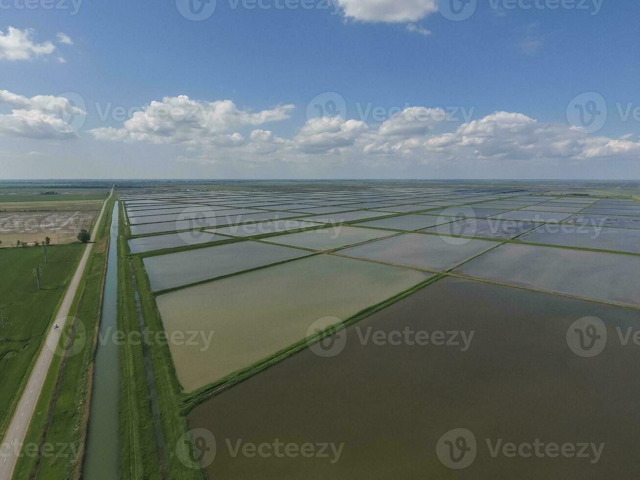 inundado arroz arrozales agronómico métodos de creciente arroz en el F foto