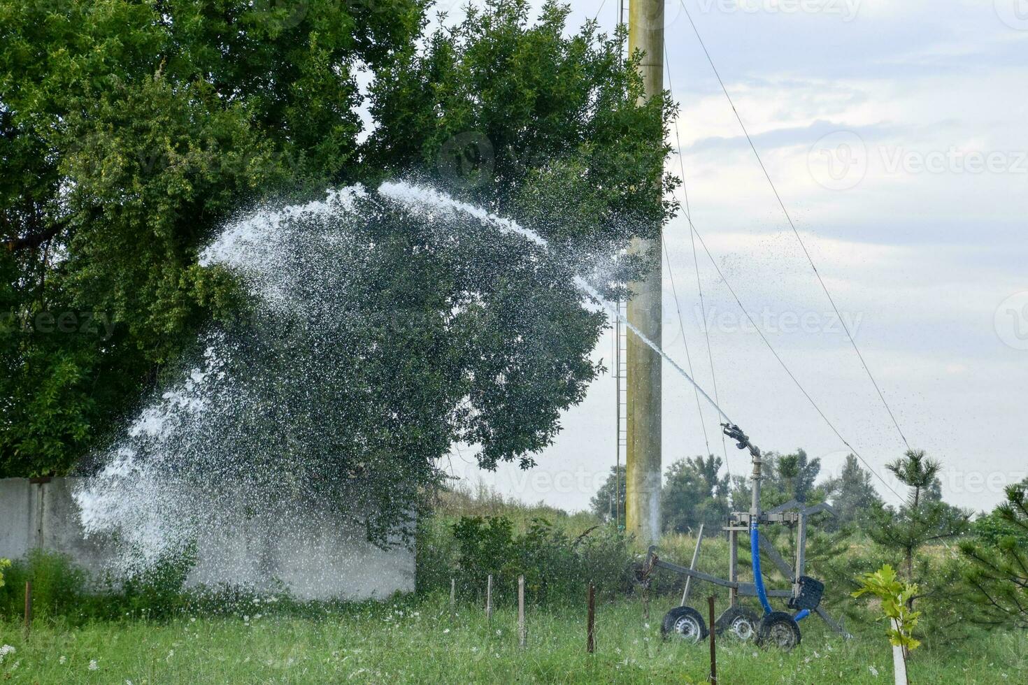 Irrigation system Watering in the garden. Watering the seedlings in the park. Watering the fields. Sprinkler. photo