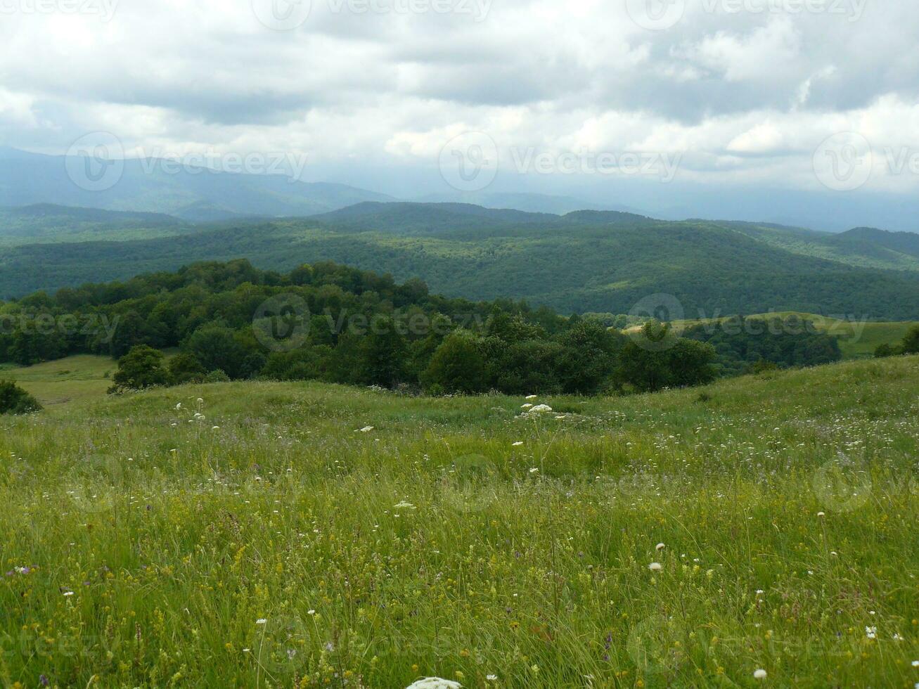 The blossoming meadows on slopes of hills. photo