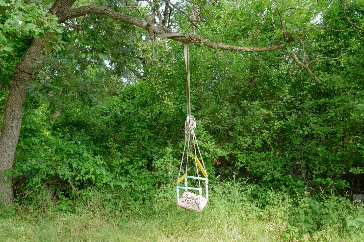 Childrens swing on a branch of an old tree. Children's leisure in the garden. photo