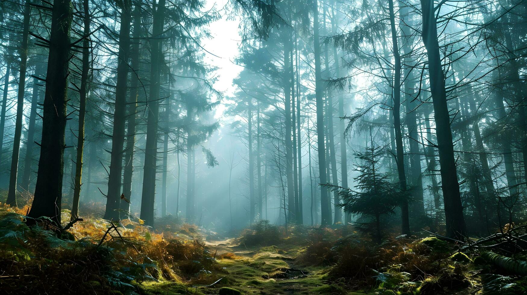 ai generado luz de sol filtración mediante brumoso pino bosque foto