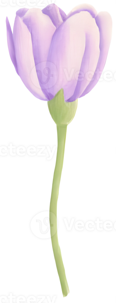 AI generated a flower, illustration png