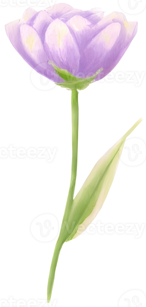 AI generated a flower for decoration. png
