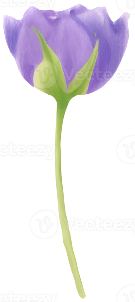 AI generated a flower for decoration. png