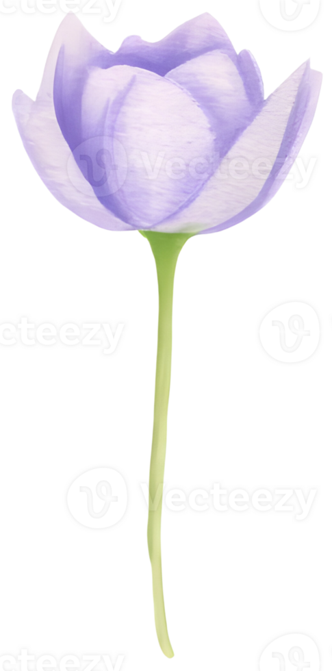 AI generated a flower for decoration. png