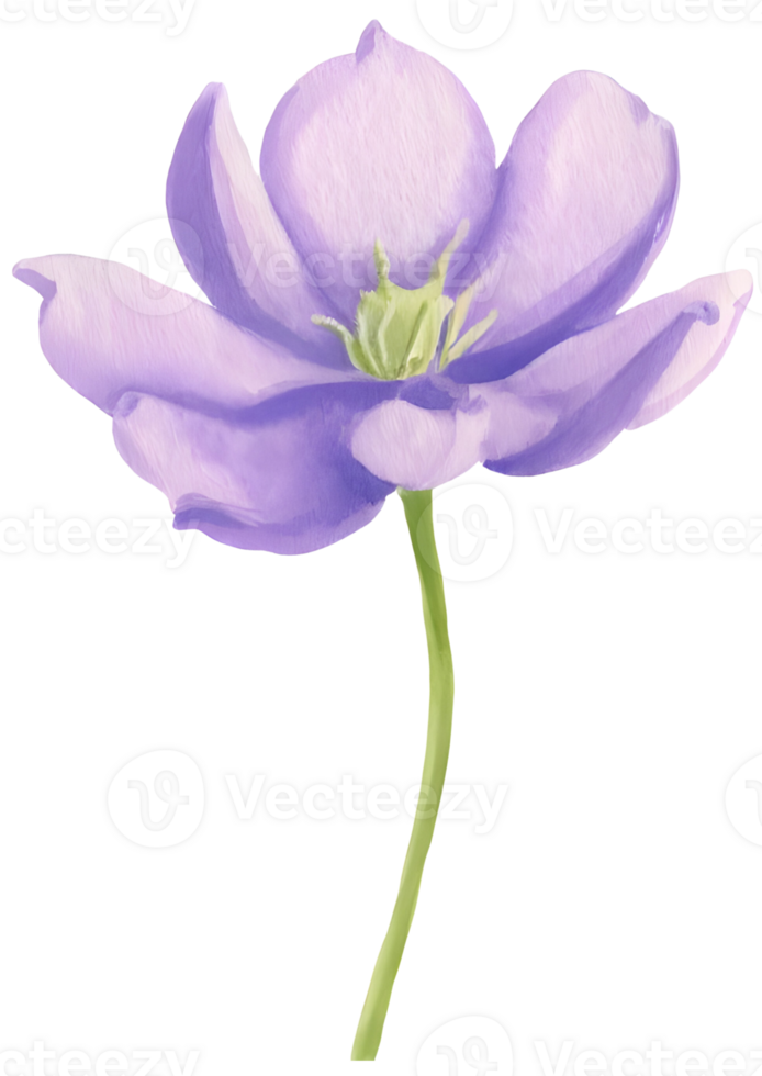 AI generated a flower for decoration. png
